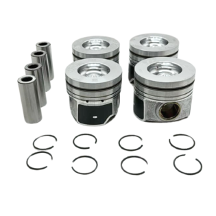 Pistones Foton G7 2.0 C/Pasadores