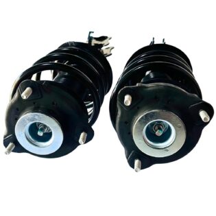 Amortiguadores Delanteros Changan Cs55 Plus 2und