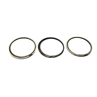 Anillos Std Byd F0 1.0