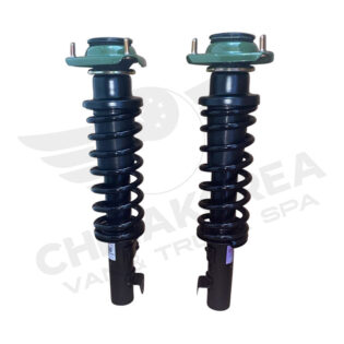 AMORTIGUADOR DELANTERO RUIYI SIMPLE/DOBLE HAFEI (COMPLETOS) (EL PAR)