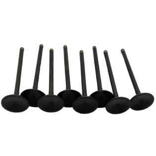 Valvulas Admision JAC T6 2.0 Bencinero (Kit 8 Val)