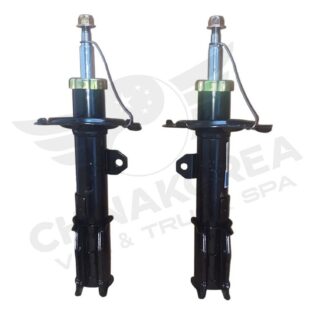 Amortiguadores Traseros Byd F3 Derecho / Izquierdo (el Par)